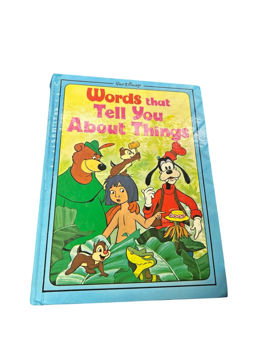 Disney Blue Hardcover "Words That Tell You About Things"